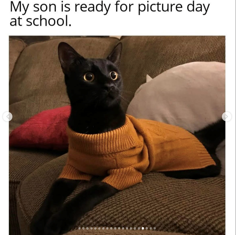 My son is ready for picture day at school.