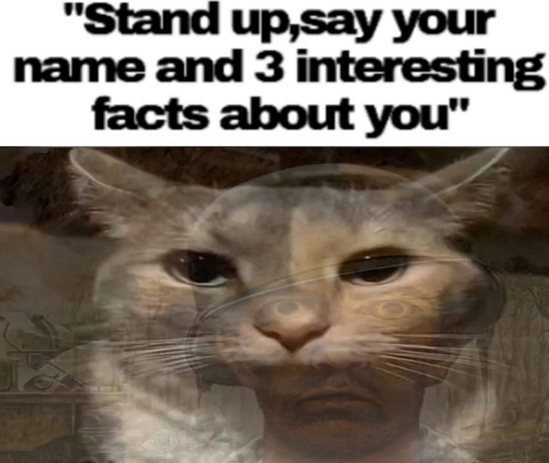 "Stand up,say your name and 3 interesting facts about you"