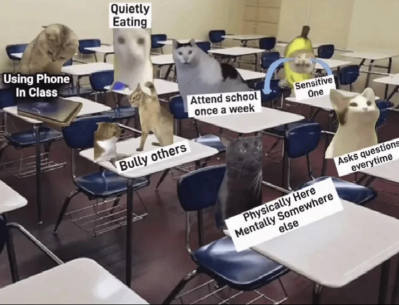 Using Phone In Class Quietly Eating Attend school once a week Sensitive One Bully others Physically Here Mentally Somewhere else Asks questions everytime