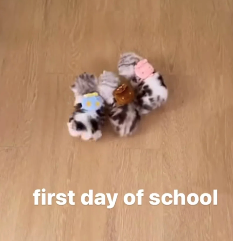 first day of school