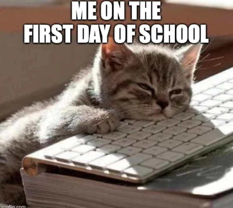imgflip.com ME ON THE FIRST DAY OF SCHOOL