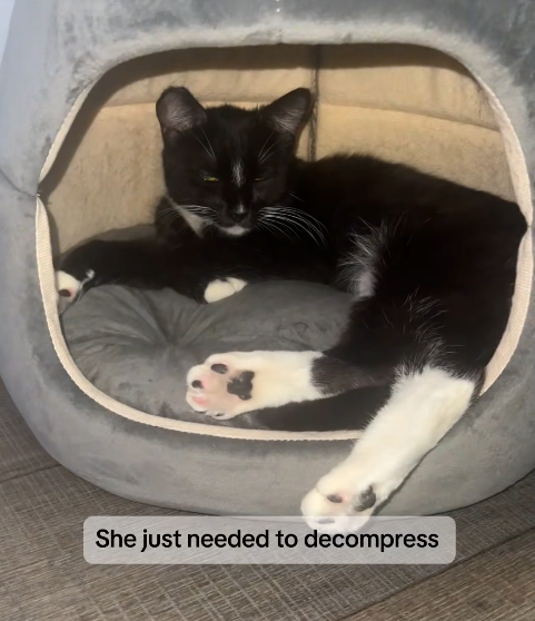 She just needed to decompress