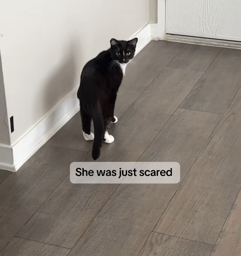 She was just scared