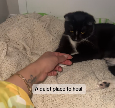 A quiet place to heal