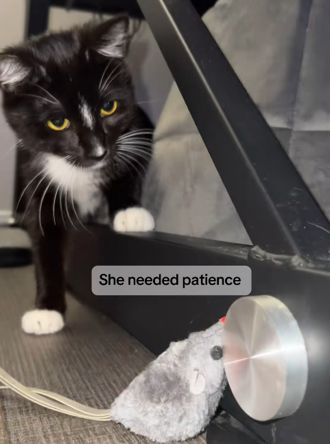 She needed patience