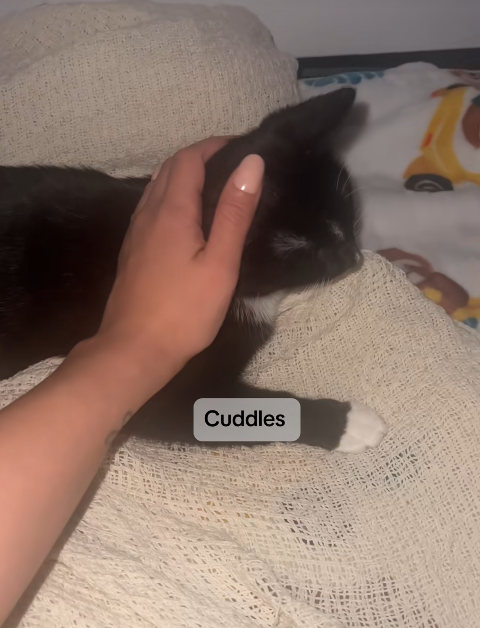 Cuddles