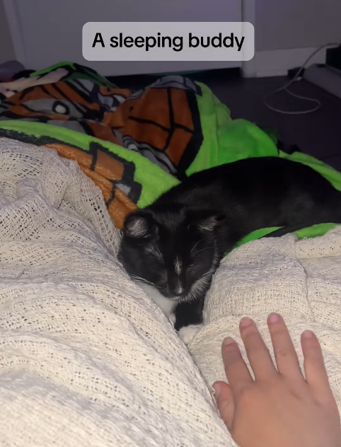 A sleeping buddy