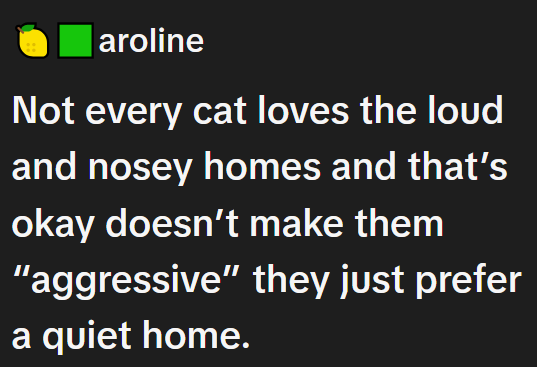 aroline Not every cat loves the loud and nosey homes and that's okay doesn't make them "aggressive" they just prefer a quiet home.