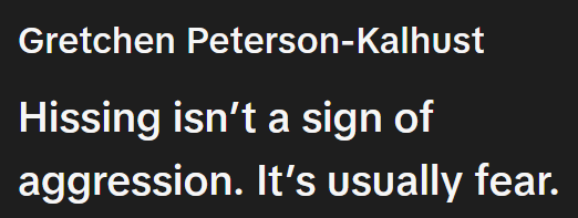 Gretchen Peterson-Kalhust Hissing isn't a sign of aggression. It's usually fear.