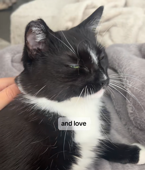 and love
