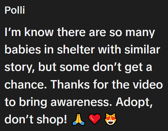 Polli I'm know there are so many babies in shelter with similar story, but some don't get a chance. Thanks for the video to bring awareness. Adopt, don't shop! A