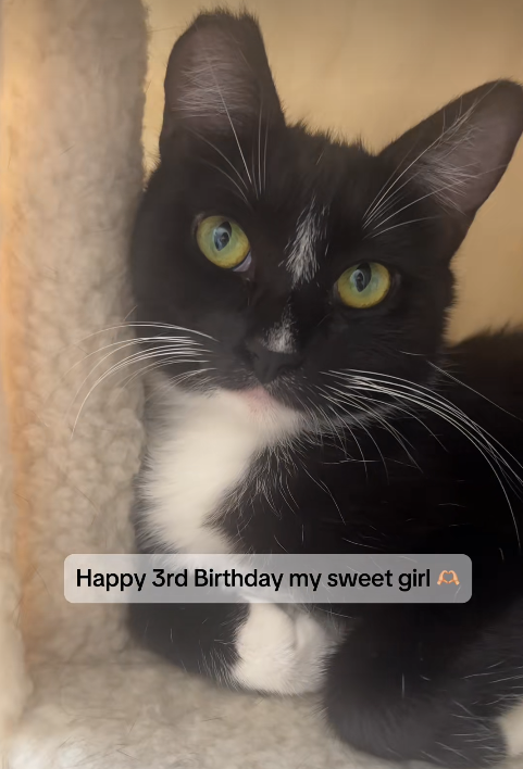 Happy 3rd Birthday my sweet girl