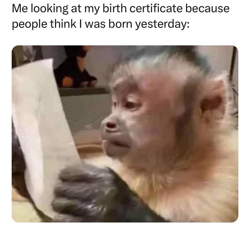 Me looking at my birth certificate because people think I was born yesterday: