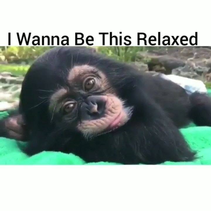 I Wanna Be This Relaxed