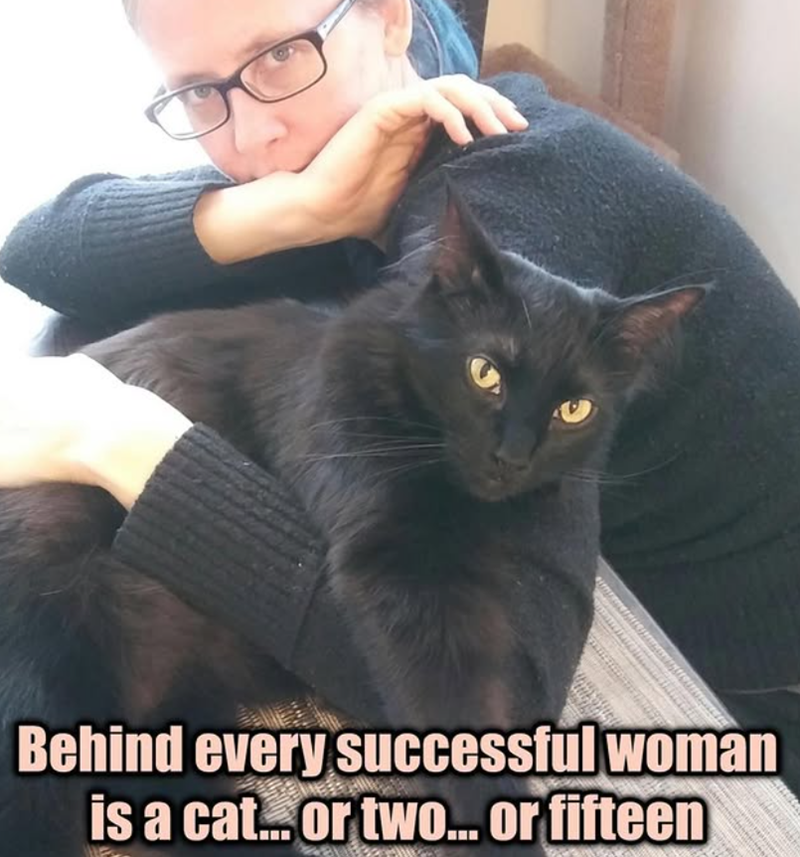 Behind every successful woman is a cat... or two... or fifteen