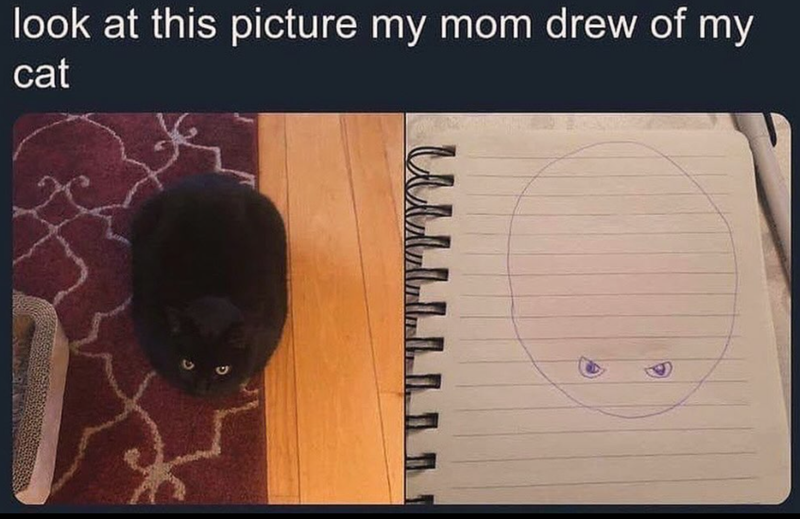 look at this picture my mom drew of my cat W L L L L L