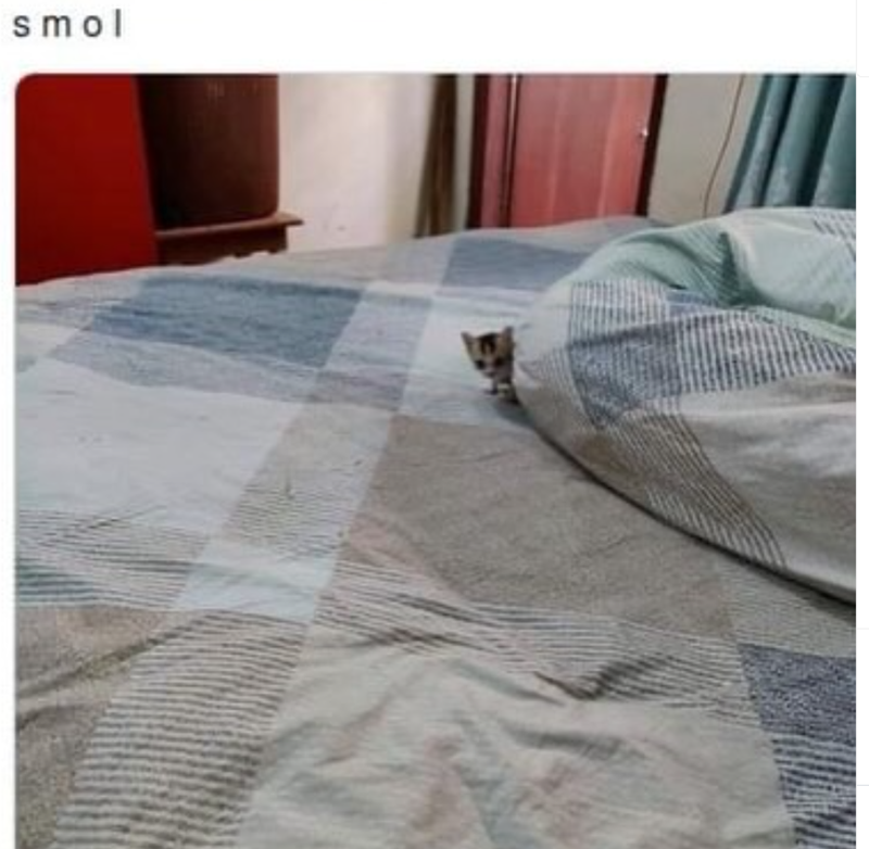 smol