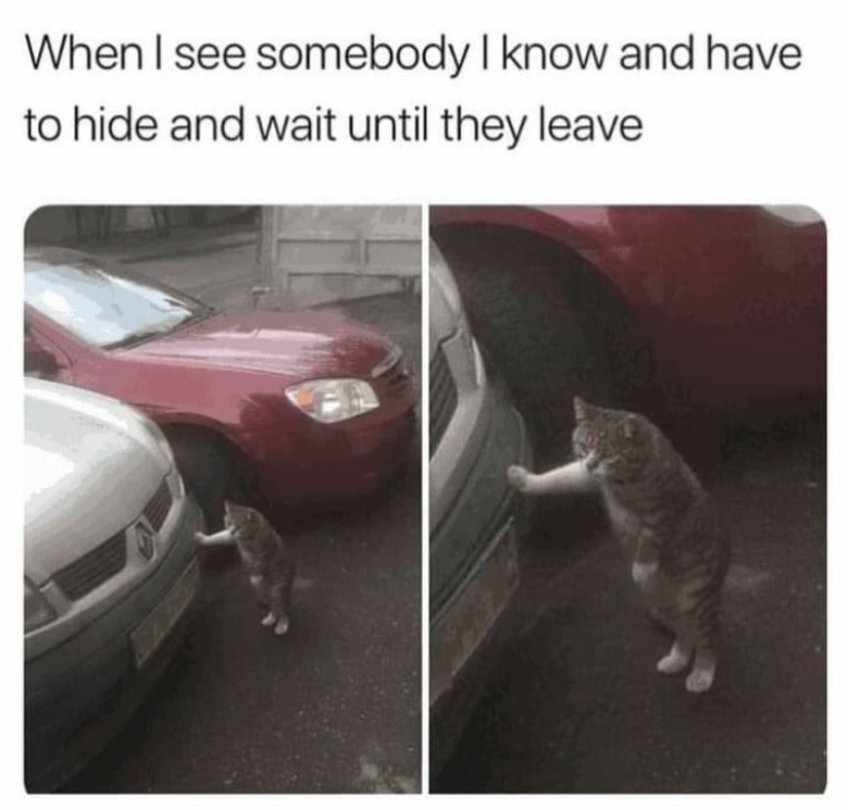When I see somebody I know and have to hide and wait until they leave