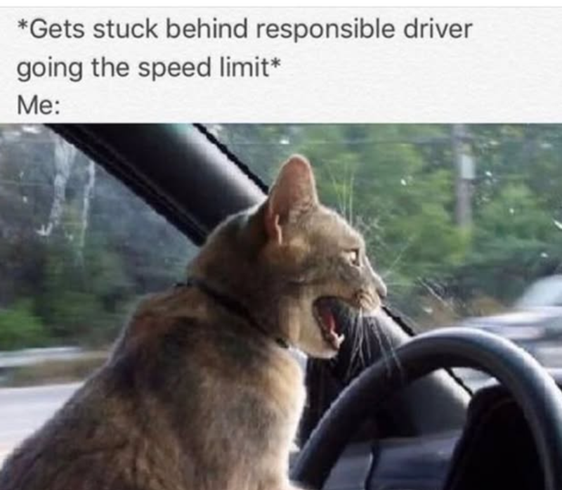 *Gets stuck behind responsible driver going the speed limit* Me: