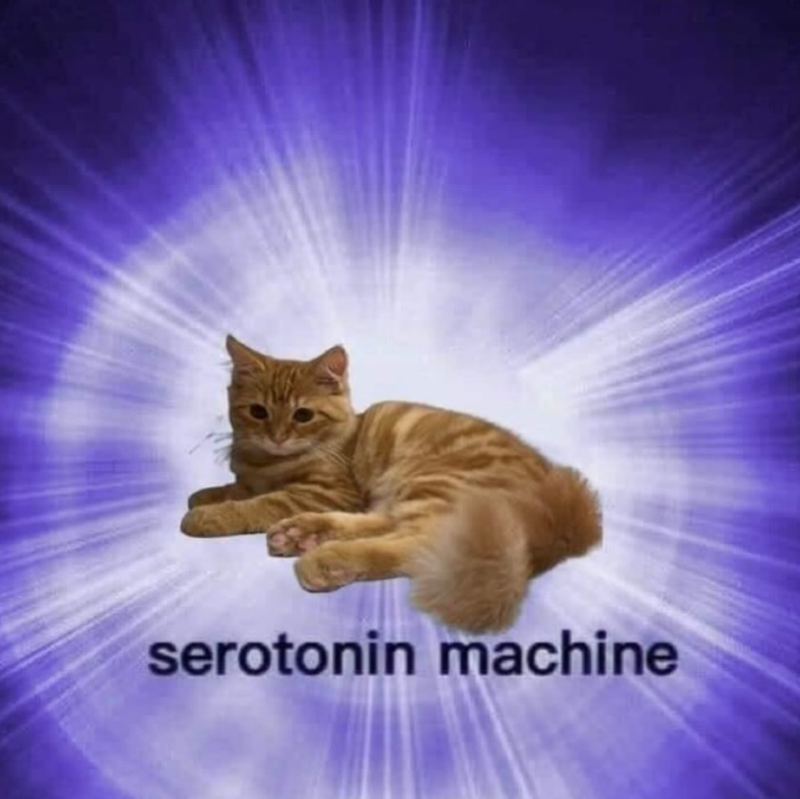serotonin machine