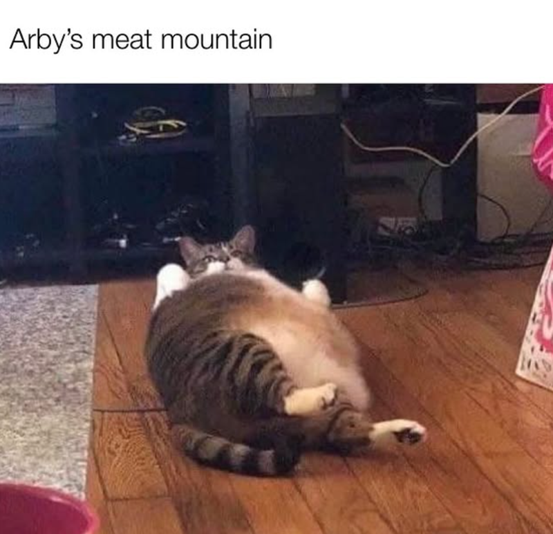 Arby's meat mountain.