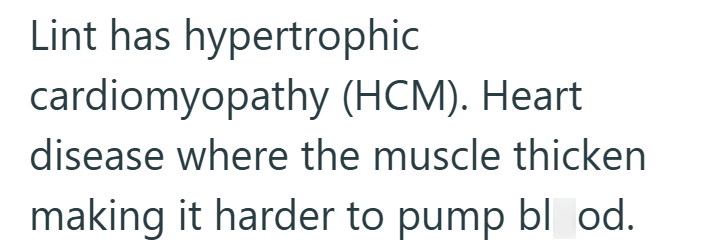 Lint has hypertrophic cardiomyopathy (HCM). Heart disease where the muscle thicken making it harder to pump blood.