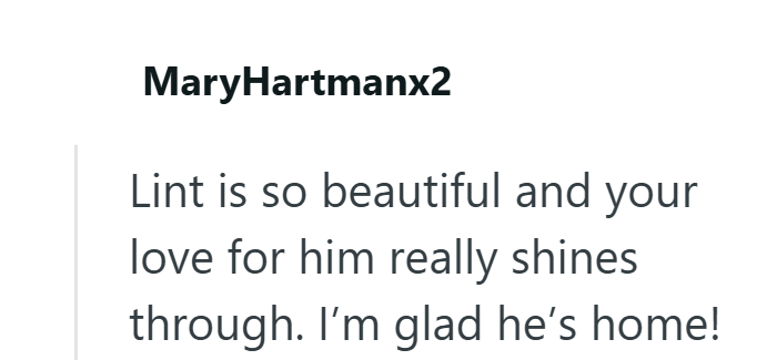 MaryHartmanx2 Lint is so beautiful and your love for him really shines through. I'm glad he's home!