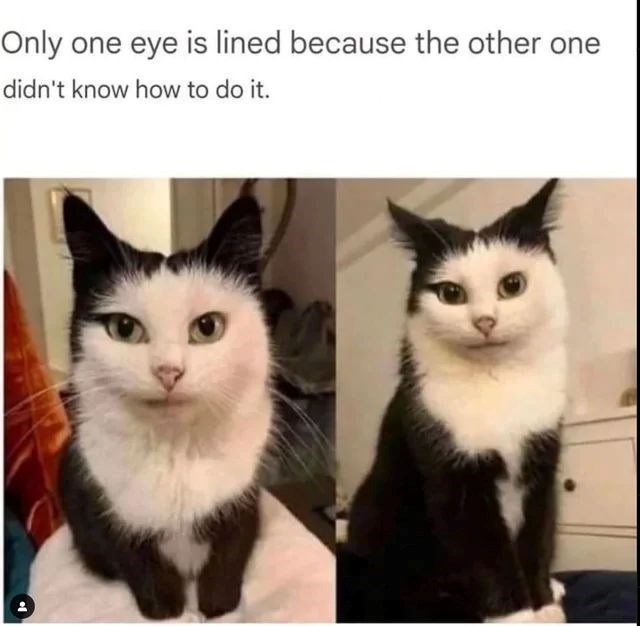 Only one eye is lined because the other one didn't know how to do it.