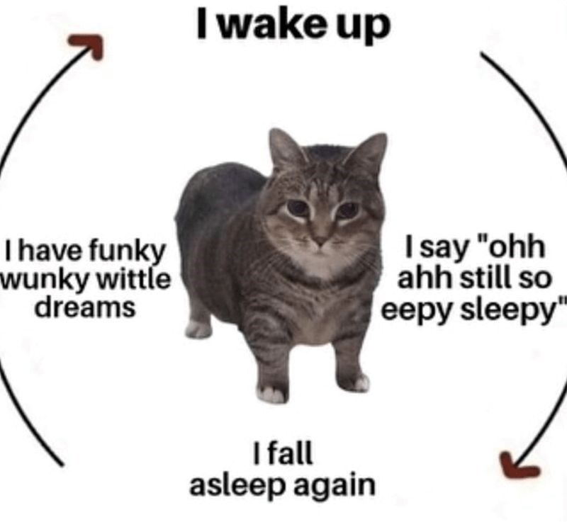 I wake up I have funky wunky wittle dreams I say "ohh ahh still so eepy sleepy" I fall asleep again