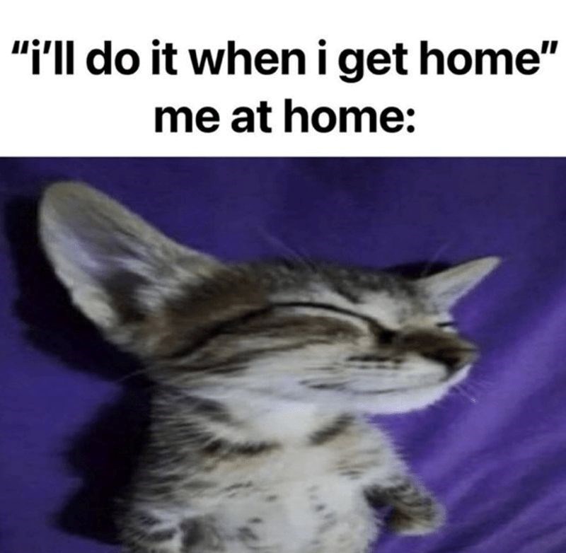 "i'll do it when i get home" me at home: