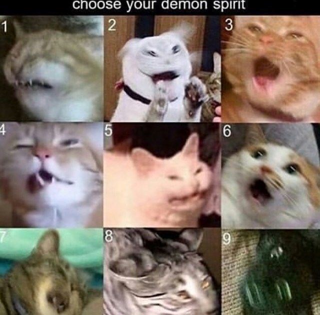 1 choose your demon spirit 2 3 4 5 6 8