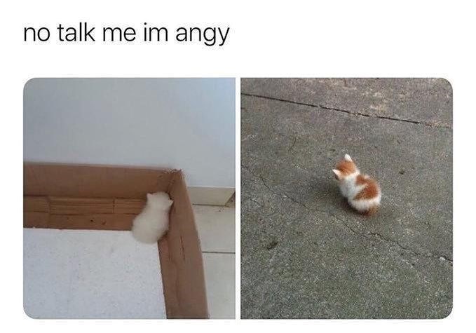 no talk me im angy