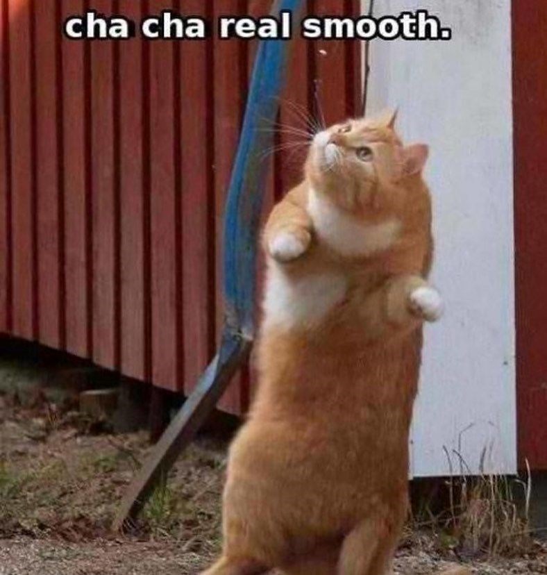 cha cha real smooth.