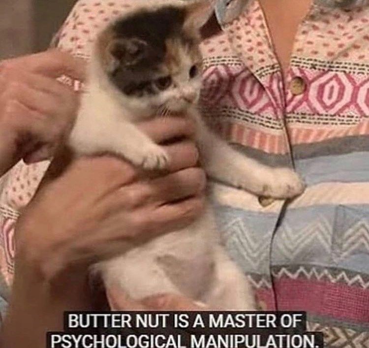 wwwww BUTTER NUT IS A MASTER OF PSYCHOLOGICAL MANIPULATION.