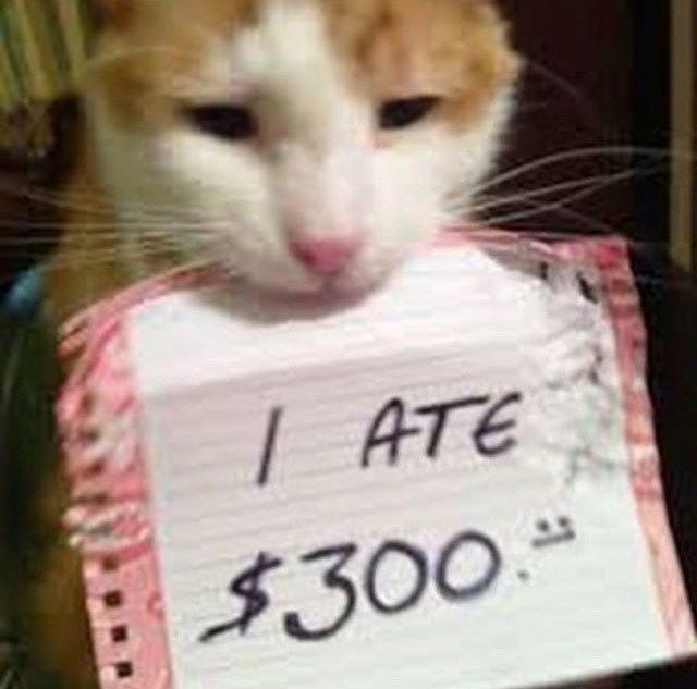 I ATE $300.0