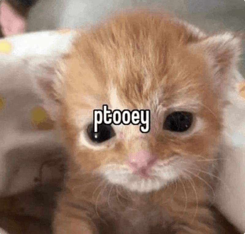 ptooey