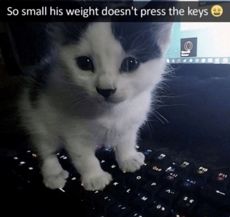e So small his weight doesn't press the keys → One F10