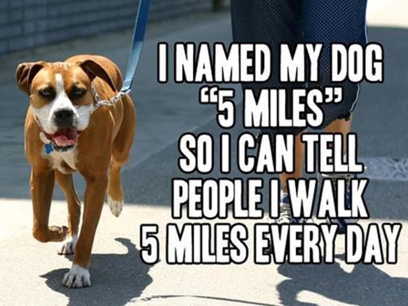 I NAMED MY DOG "5 MILES" SO I CAN TELL PEOPLE I WALK 5 MILES EVERY DAY
