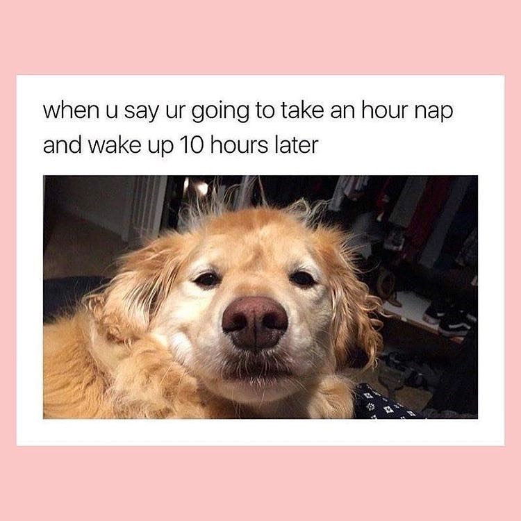 when u say ur going to take an hour nap and wake up 10 hours later
