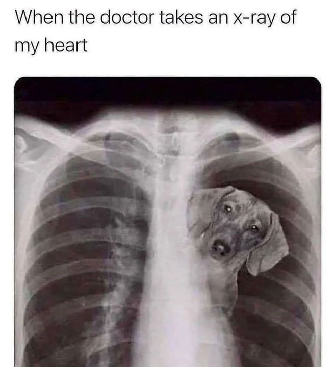 When the doctor takes an x-ray of my heart