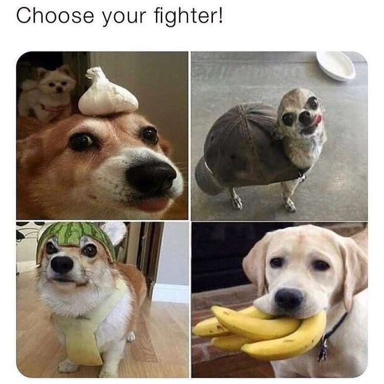 Choose your fighter!