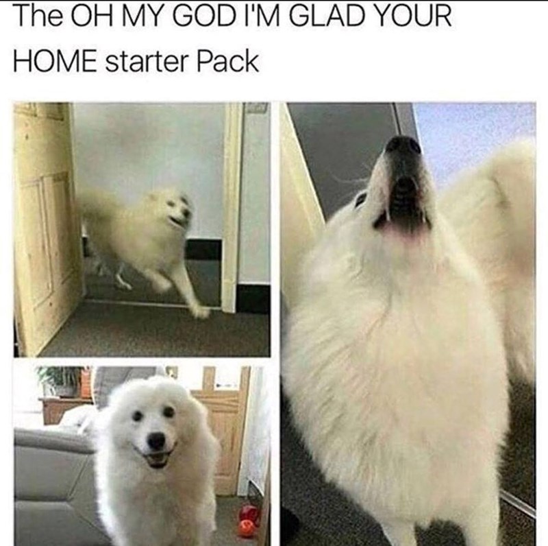 The OH MY GOD I'M GLAD YOUR HOME starter Pack