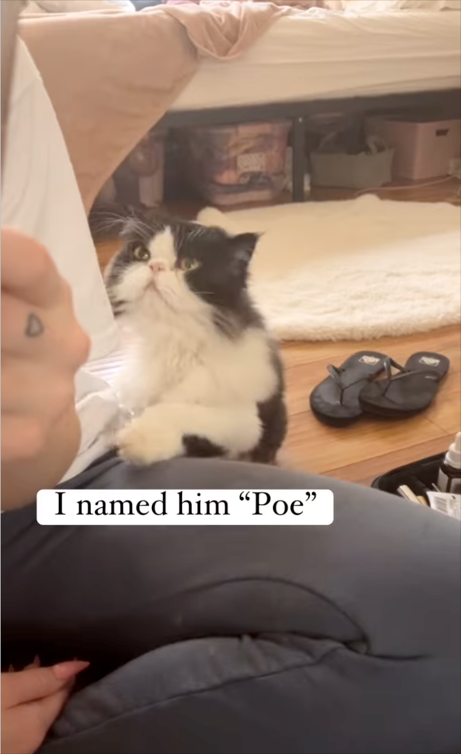 D I named him "Poe”