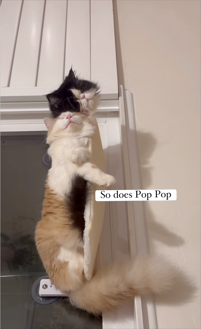 So does Pop Pop
