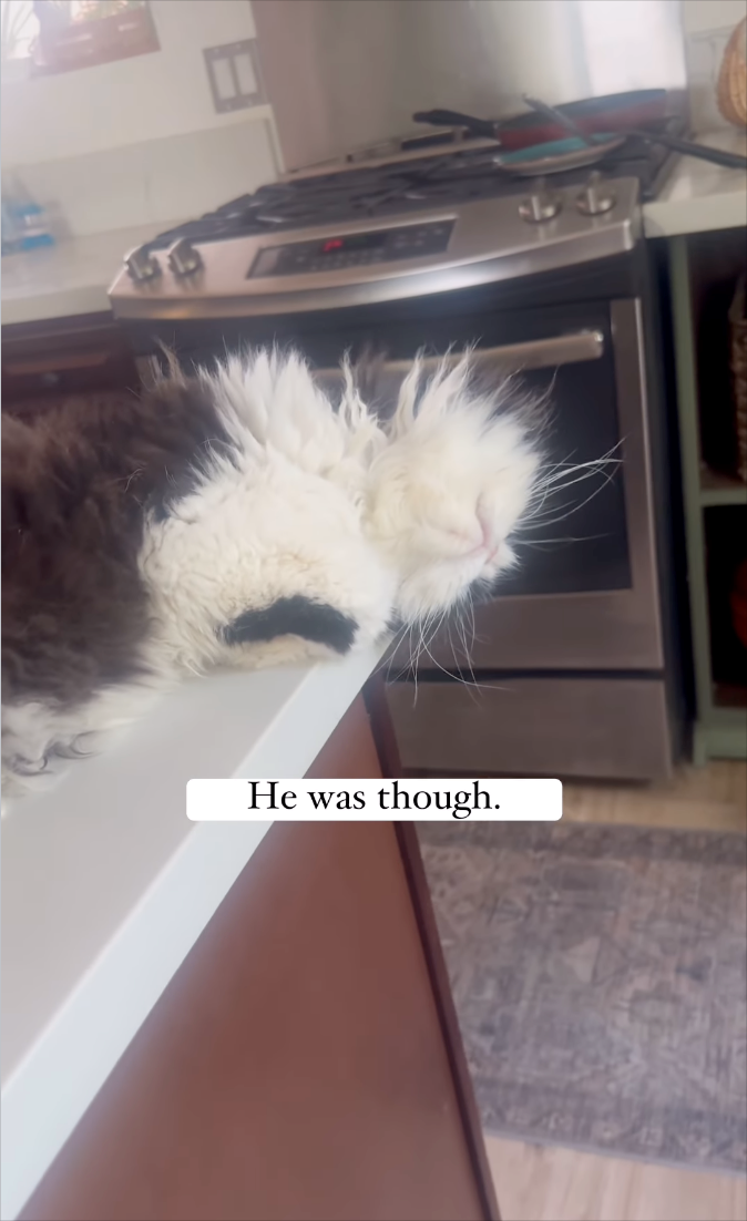 He was though.