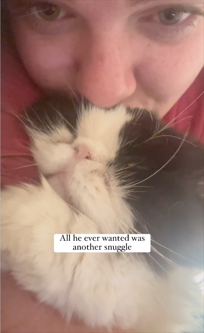All he ever wanted was another snuggle