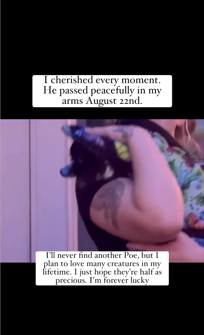 I cherished every moment. He passed peacefully in my arms August 22nd. I'll never find another Poe, but I plan to love many creatures in my lifetime. I just hope they're half as precious. I'm forever lucky