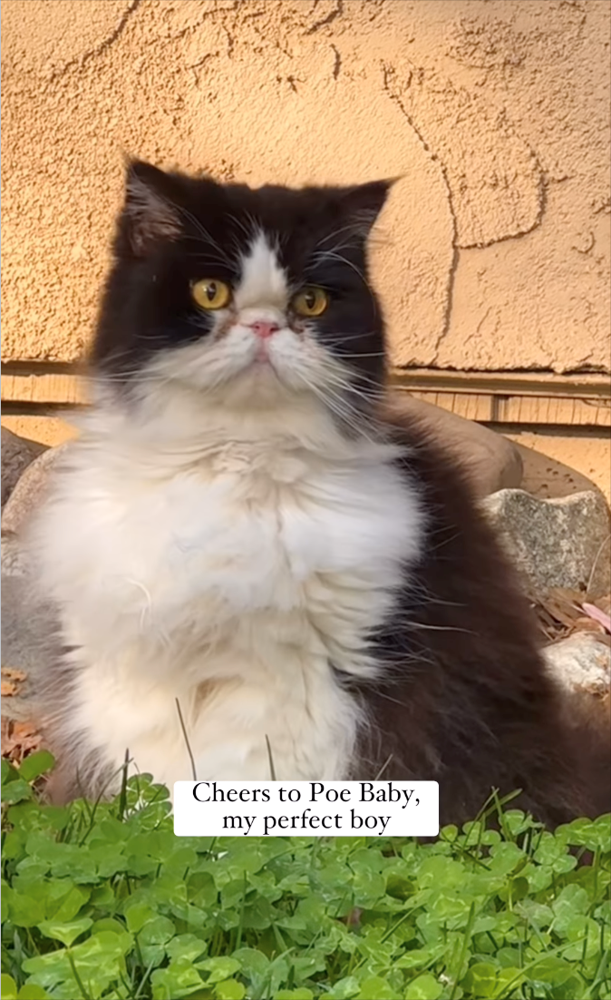 Cheers to Poe Baby, my perfect boy