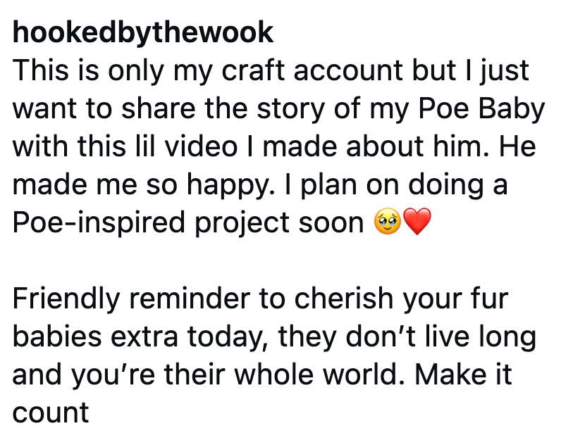 hookedbythewook This is only my craft account but I just want to share the story of my Poe Baby with this lil video I made about him. He made me so happy. I plan on doing a Poe-inspired project soon ♥ Friendly reminder to cherish your fur babies extra today, they don't live long and you're their whole world. Make it count