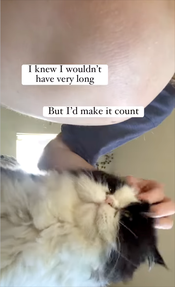 I knew I wouldn't have very long But I'd make it count